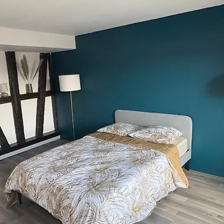 Apartamento Le Cocon De La Krutenau *